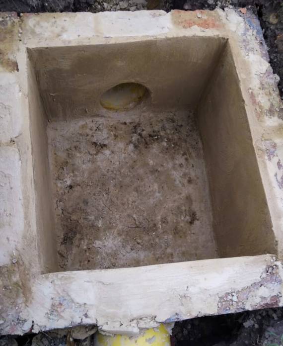 WhatsApp Image 2025-08-06 at 5.29.29 PM