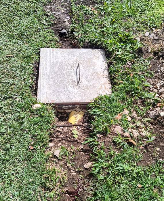 WhatsApp Image 2025-08-12 at 9.20.05 AM